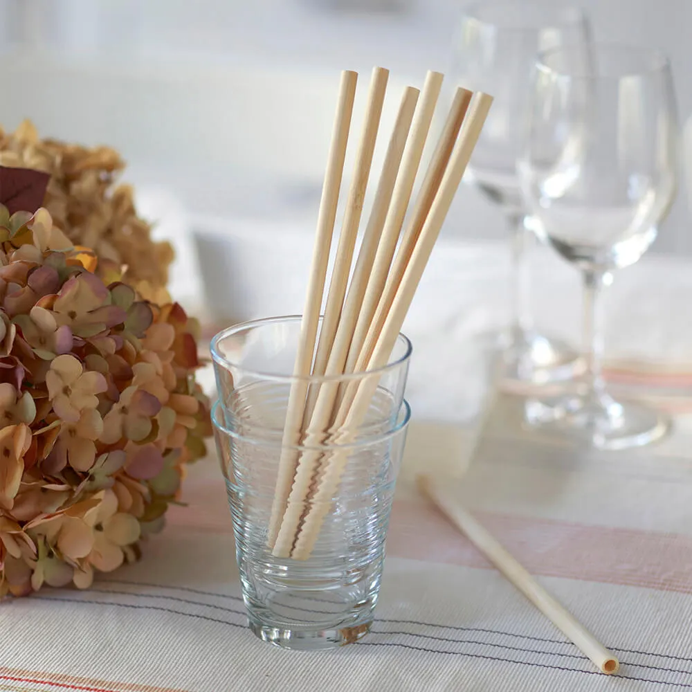 Biodegradable Straws Set of 24