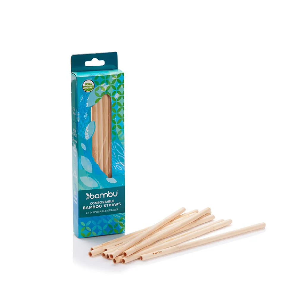 Biodegradable Straws Set of 24