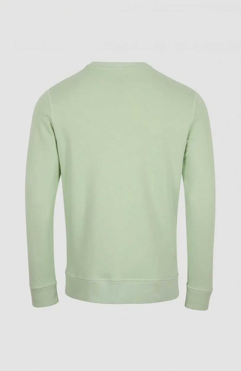 O'Neill Triple Stack Crew Sweatshirt | Sea Foam