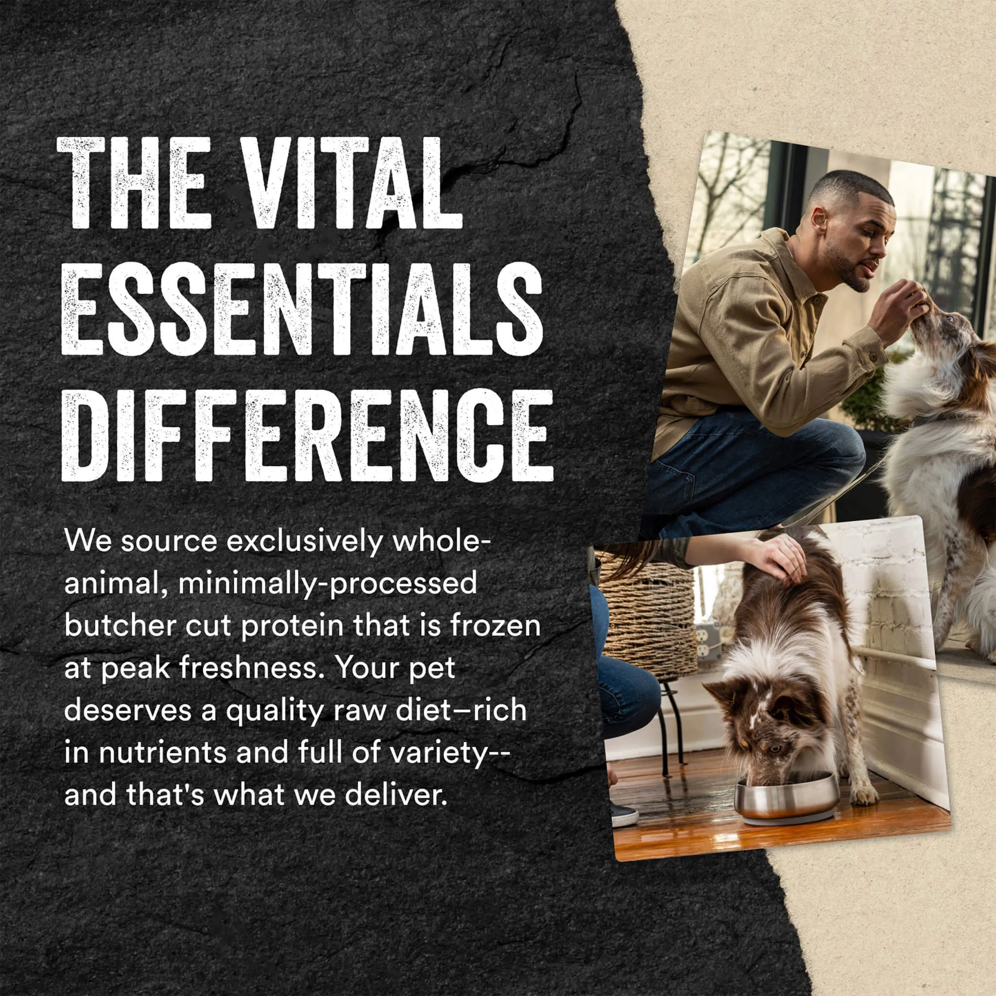 Vital Essentials Freeze Dried Mini Nibblets Dog Entree